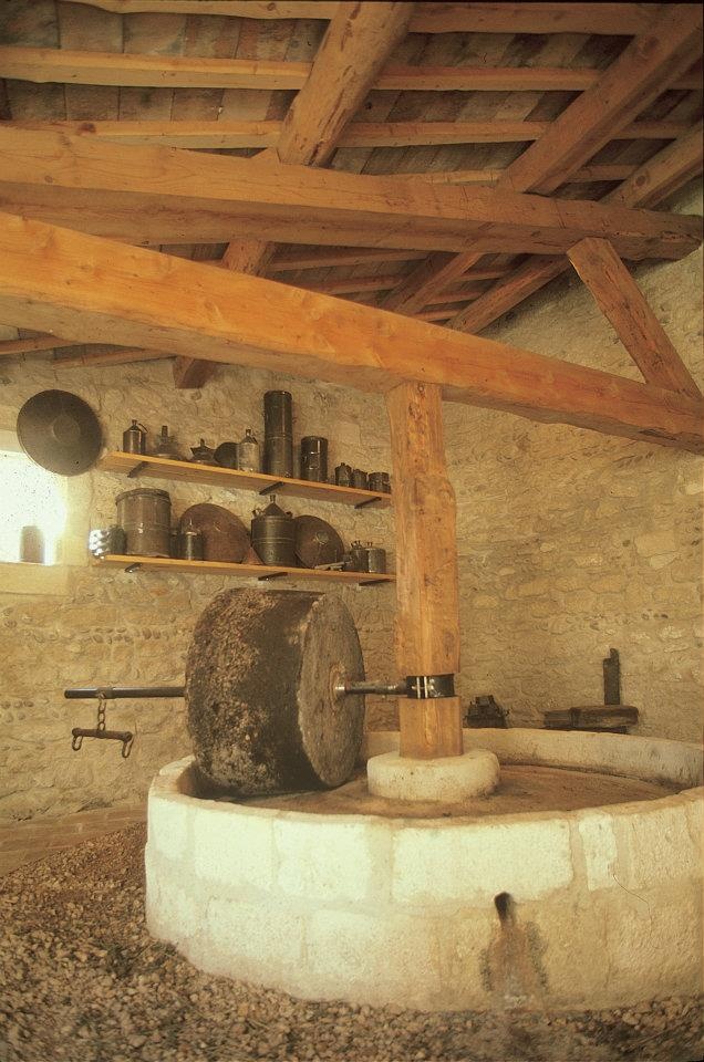 Pressoir à huile traditionnel — vestige du patrimoine agricole corse