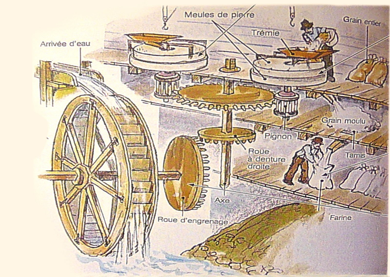 Schéma d'un moulin hydraulique traditionnel